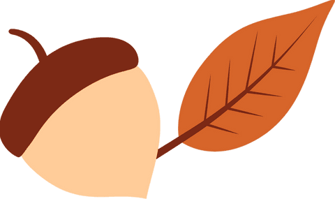 stylized acorn with leaf on transparent background in flat design - Download Free Stock Videos Pikwizard.com
