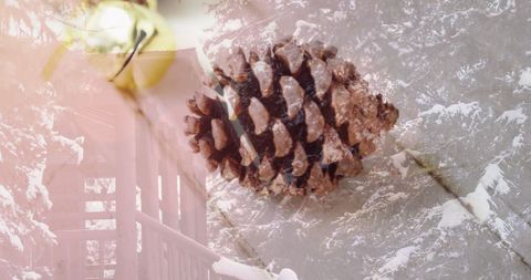 Christmas Pine Cone Decoration on Winter Wonderland Background - Download Free Stock Images Pikwizard.com