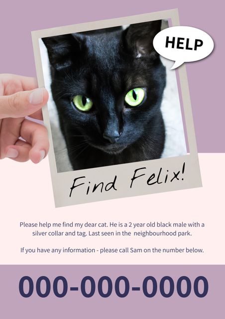 Missing Cat Poster Black Male with Silver Collar Last Seen Near Park - Download Free Stock Templates Pikwizard.com