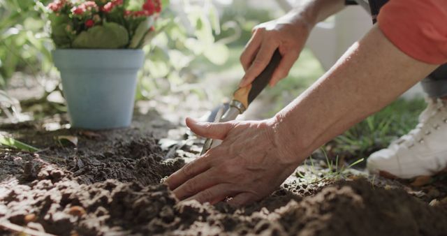 Close-up view of a person's hands planting flowers in garden soil, with potted plant and gardening tools. Ideal for topics related to gardening, nature, outdoor activities, home gardening tips, and horticulture.