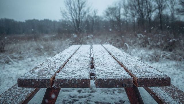 Picnic table receiving fresh snow on rusted metal supports in rural winter field