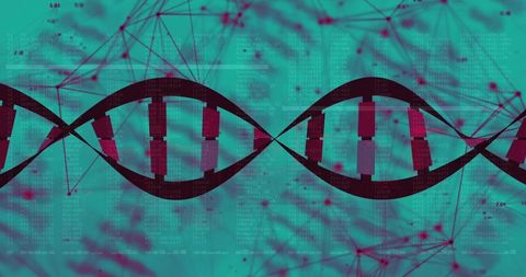 Digital double helix merging genetic data with neural network visualization for biotech