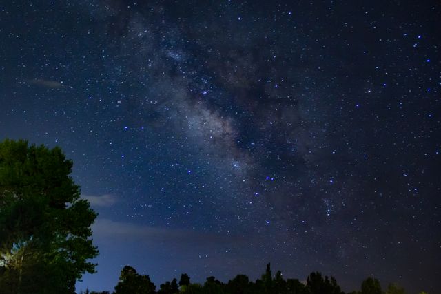 This image captures the stunning Milky Way galaxy shining brightly in the night sky. Silhouetted trees frame the scene, adding depth and contrast. Ideal for use in articles, blogs, and social media posts related to astronomy, stargazing, nature, and night photography.