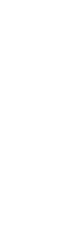 Silhouette of Sports Woman on Transparent Background in Victory Pose - Download Free Stock Videos Pikwizard.com