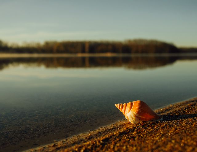 Seashell resting on sand by a calm lakeshore during sunset. Ideal for serene or nature-themed visuals, travel advertisements, meditative content, or background images emphasizing tranquility and solitude.
