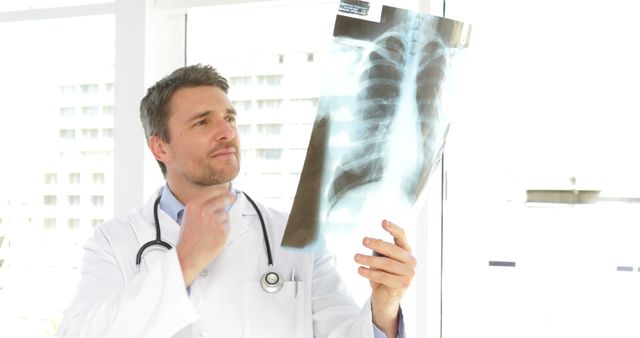 Medical Professional Examining Chest X-Ray for Diagnosis - Download Free Stock Images Pikwizard.com