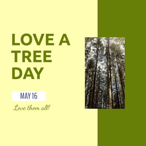 love a tree day celebration poster with tall forest trees - Download Free Stock Templates Pikwizard.com