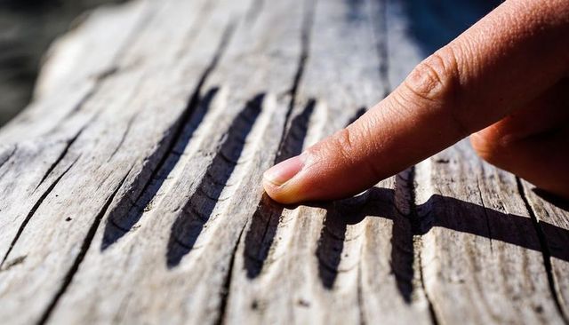 Finger tracing sunlit wood grain casting crisp shadow on weathered bench closeup texture