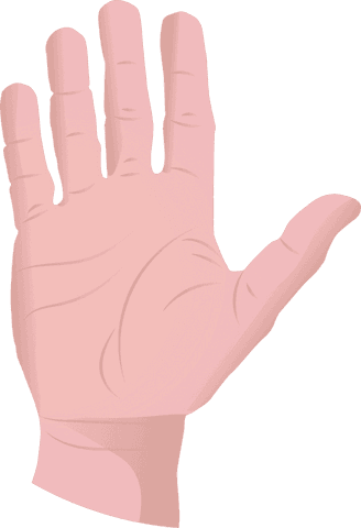 Open hand gesture flat vector on transparent background