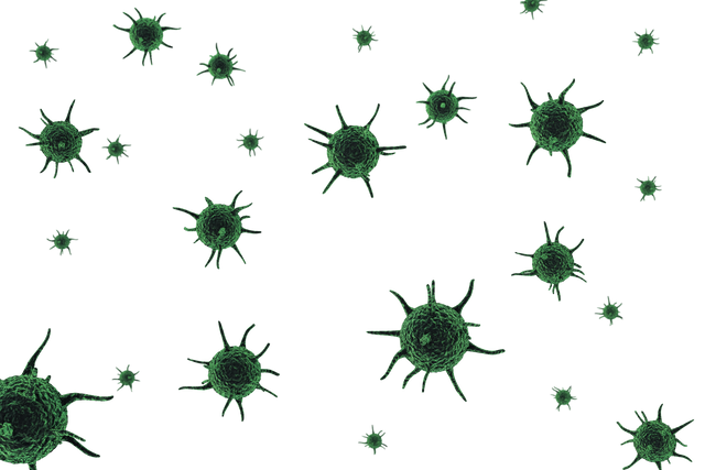 Green Viruses Vector Illustration on Transparent Background - Download Free Stock Videos Pikwizard.com