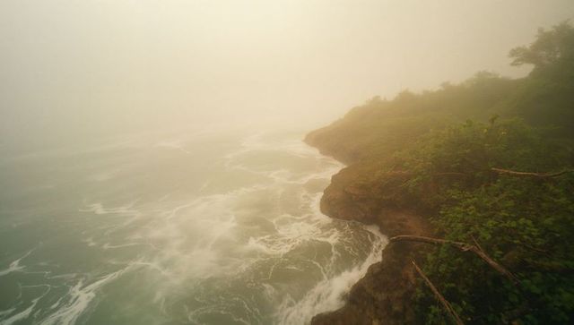 Dramatic foggy coast with waves crashing against rocky bluffs