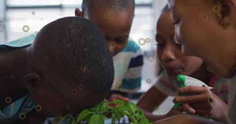 Children examining classroom plant together with spray bottle during hands-on gardening