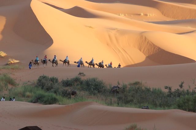 Depicts a group of people riding camels across extensive sand dunes at sunrise. Suggests themes of adventure and exploration in a desert landscape. Useful for travel agencies promoting desert tours, adventure tourism advertisements, blogs covering unique travel experiences, or educational materials discussing desert environments.