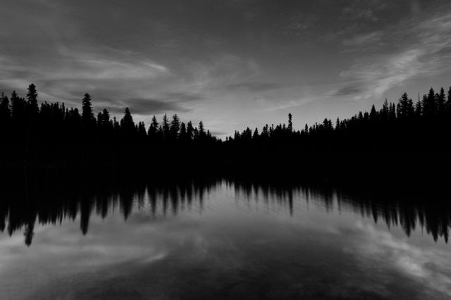 Silhouetted Forest Reflected in Calm Lake at Dusk - Download Free Stock Photos Pikwizard.com