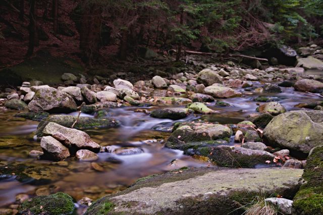 Stream flowing over mossy rocks in a forest with lush green surroundings. Ideal for nature scenes, rustic decor, environmental projects, relaxation visuals, and promoting outdoor recreation.