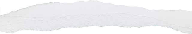 White Torn Paper Edge on Transparent Background - Download Free Stock Videos Pikwizard.com