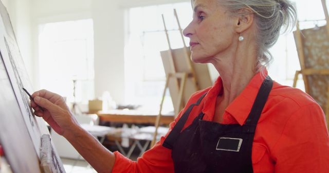 Senior Woman Painting on Canvas in Bright Art Studio - Download Free Stock Images Pikwizard.com