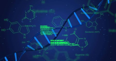 DNA Strand with Data Stream in Digital Blue Background - Download Free Stock Images Pikwizard.com