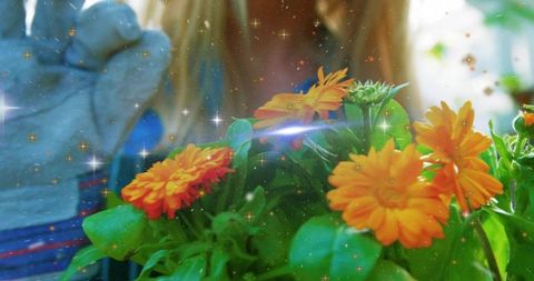 Blooming orange calendula catching sunlight with stone hand sculpture and lens flare