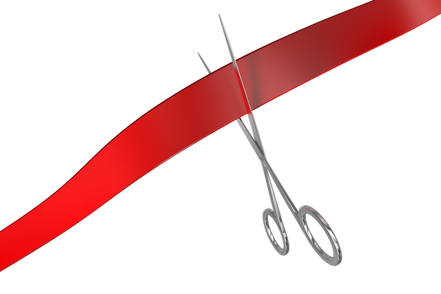 Scissors Cutting Red Ribbon Transparent Background - Download Free Stock Videos Pikwizard.com