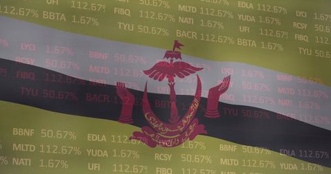 Financial data overlay with brunei flag symbolizing economic concepts