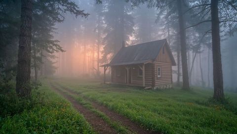 Misty sunrise cabin in pine forest with twin-track meadow path and rustic log porch