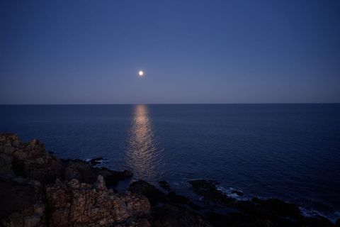 Full Moon Reflections Over Calm Ocean at Night