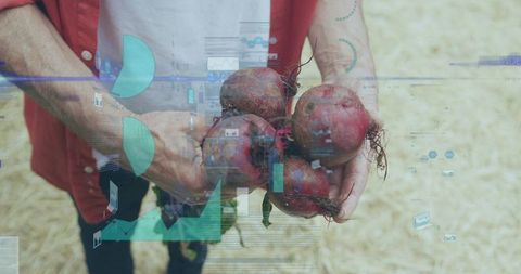 Farmer holding fresh beets with digital data overlay agtech analytics and crop insights