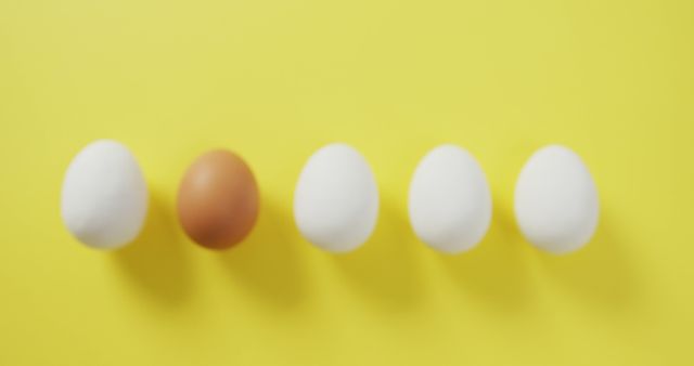 Brown Egg Standing Out in Line of White Eggs on Yellow Background - Download Free Stock Images Pikwizard.com