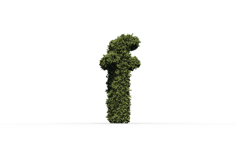 Green Grass F Letter Illustration on Transparent Background - Download Free Stock Videos Pikwizard.com