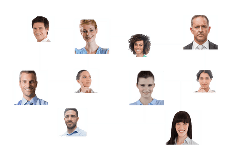 Network of Diverse Business Professionals with Transparent Background - Download Free Stock Videos Pikwizard.com