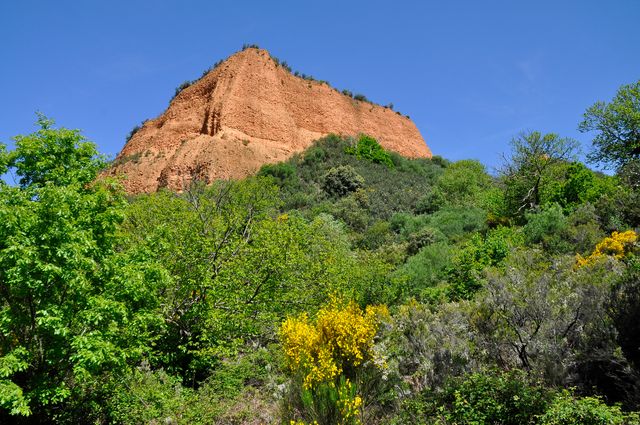 Rocky hill surrounded by lush greenery under clear blue sky creates a visually appealing natural landscape. Ideal for promoting outdoor activities, eco-tourism, nature conservation efforts, geological studies, travel destinations, and botanical interests.
