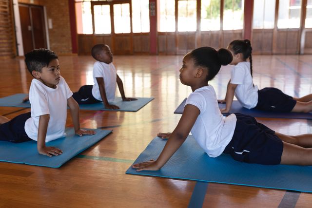 This image shows a group of schoolchildren practicing yoga on mats in a gym. They are focused and engaged in a stretching exercise, promoting physical fitness and health. This image can be used for educational materials, fitness programs for children, school brochures, or articles about the benefits of yoga for kids.