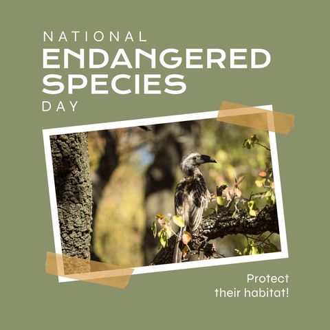 national endangered species day awareness poster - Download Free Stock Templates Pikwizard.com