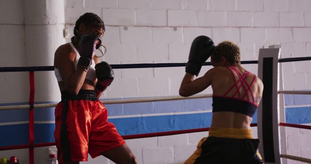 Female Boxers Sparring in Gym Wearing Boxing Gloves - Download Free Stock Images Pikwizard.com
