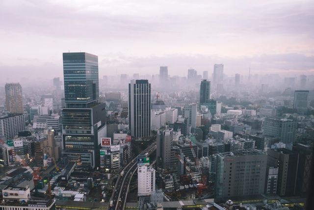 Early morning view of Tokyo's cityscape enveloped in a gentle haze and soft light, showcasing the tall buildings and skyscrapers. Ideal for travel blogs, articles on urban life, travel guides, or magazines focused on the beauty of big cities. Perfect for visual storytelling needing a metropolitan ambiance.