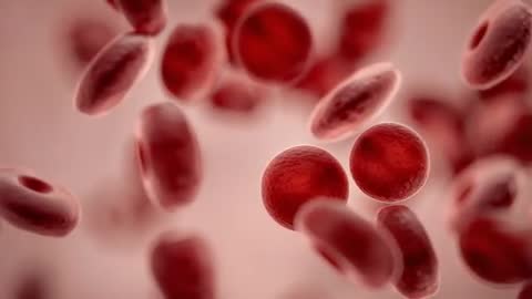 Dynamic Flow of Red Blood Cells in Circulation Process