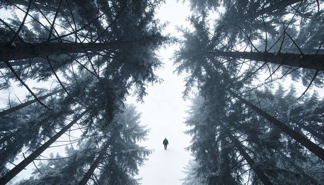 Solitary hiker walking through snowy fir tunnel, climbing lone path in winter forest
