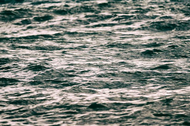 Close-up View of Gentle Ocean Waves in Natural Light - Download Free Stock Photos Pikwizard.com