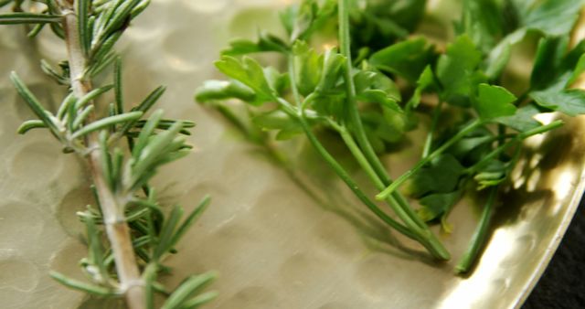 Close-up view of fresh rosemary and parsley placed on golden plate. Herbs are vibrant green and ready for use in cooking. Ideal for culinary blogs, recipe websites, cooking magazines, health and nutrition articles, or food-related marketing materials.