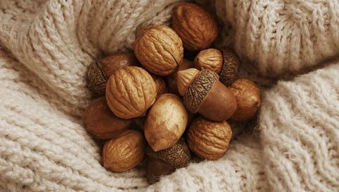 Warm autumn still life of walnuts and acorns nestling in cozy chunky cream knit blanket