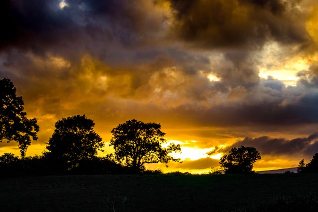 Silhouette Trees Against Dramatic Sky during Sunset - Download Free Stock Photos Pikwizard.com