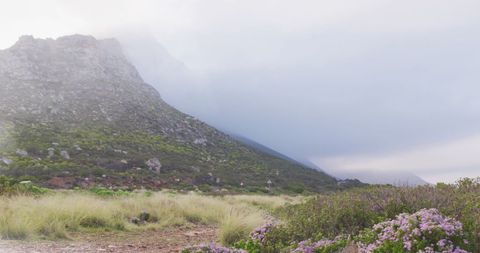 Misty Mountain Landscape with Purple Wildflowers