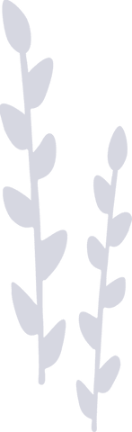 Transparent minimalistic botanical stems design