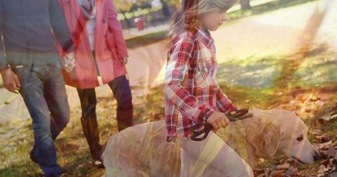 Girl Walking Golden Retriever in Bright Leafy Park - Download Free Stock Images Pikwizard.com
