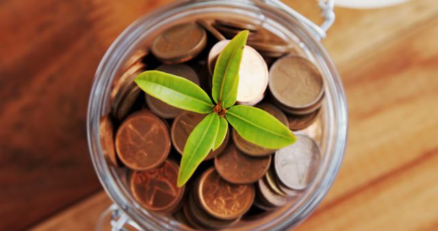 A green plant sprouts from a glass jar filled with coins, symbolizing financial growth and investment. This concept represents the idea of savings and wealth accumulation over time through consistent investment.