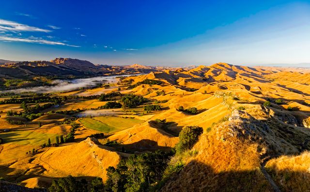 Golden Rolling Hills and Valleys Under Clear Blue Sky - Download Free Stock Photos Pikwizard.com
