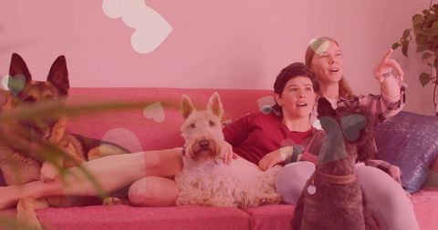 Happy couple relaxing with three dogs on cozy living room sofa