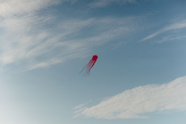 Parachute Wading bird Rescue equipment - Download Free Stock Photos Pikwizard.com