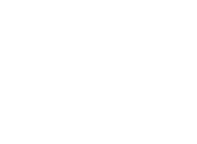 Transparent Silhouette of Male Sports Supporter Holding Scarf - Download Free Stock Videos Pikwizard.com